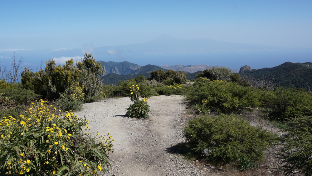 Přečtete si více ze článku La Gomera – Národní park Garajonay