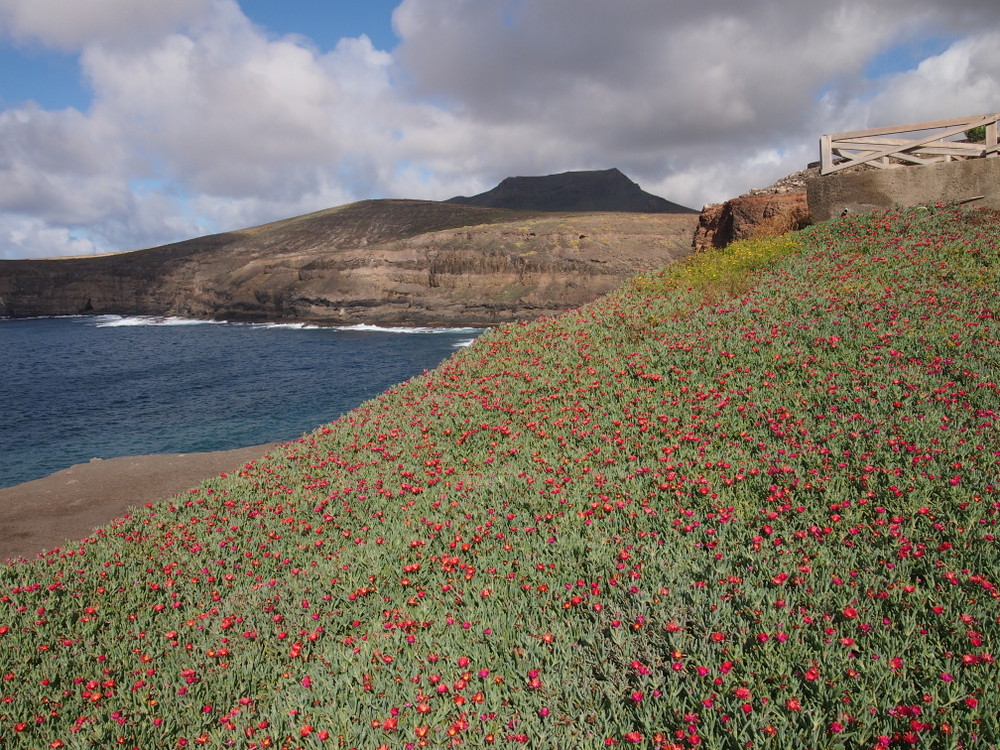 Read more about the article Gran Canaria – sever