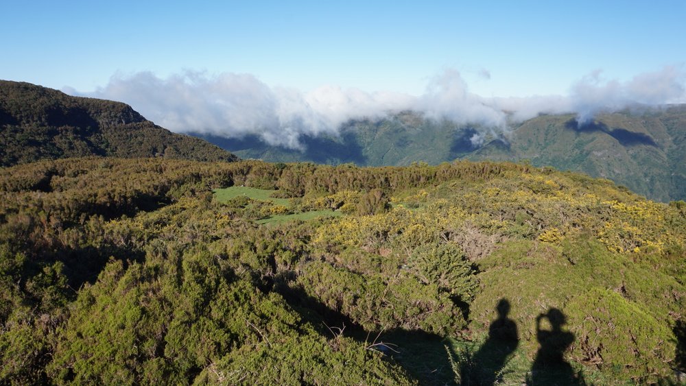 Přečtete si více ze článku Západ Madeiry & vyhlídková cesta přes hory